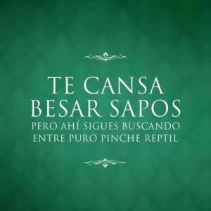 8adacdbb167d6e05375704d519be74ce